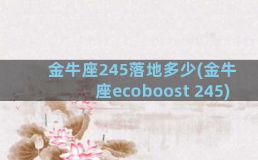 金牛座245落地多少(金牛座ecoboost 245)